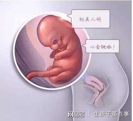 全球医疗